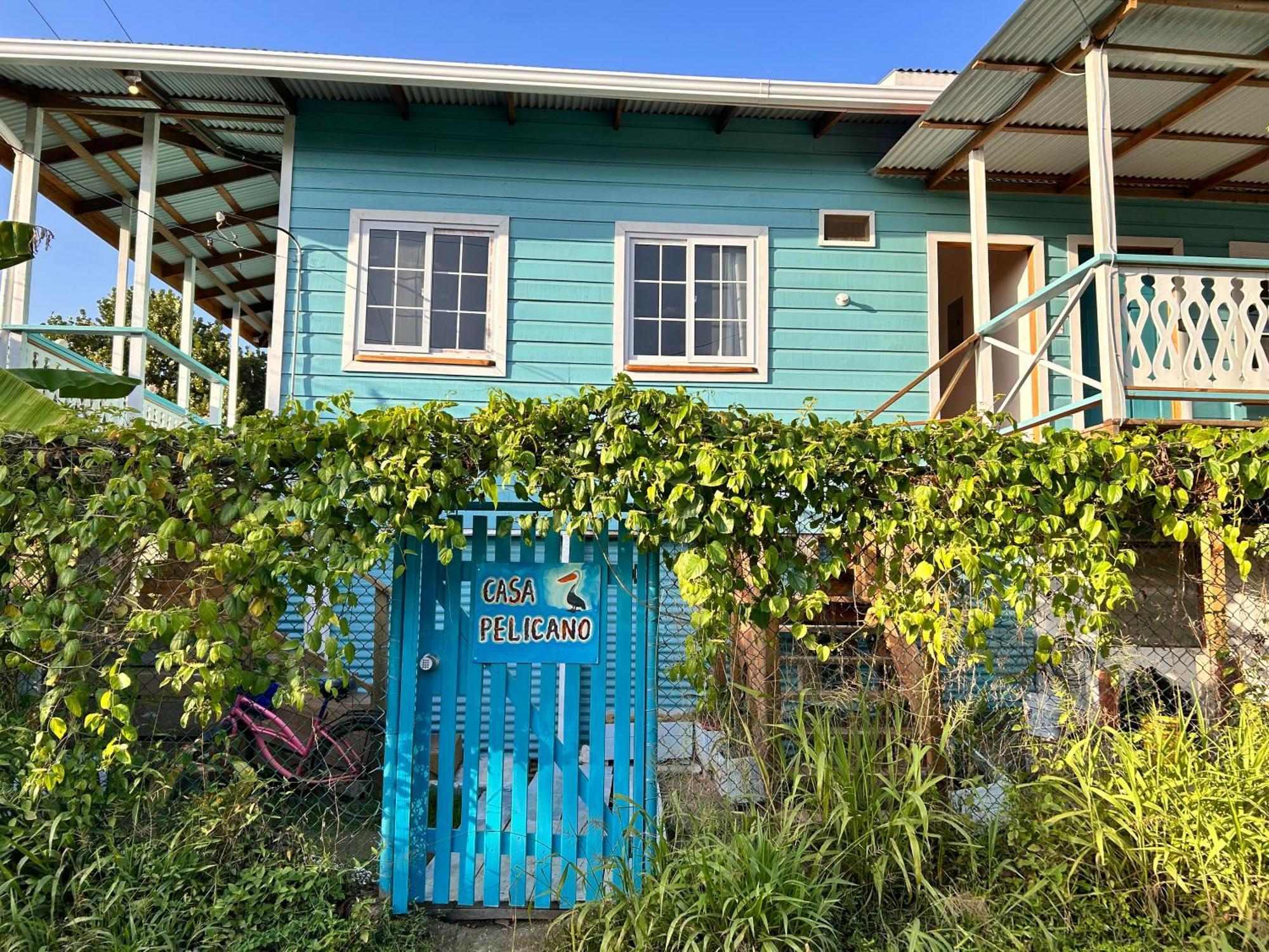 Casa Pelicano Bocas del Toro Zewnętrze zdjęcie