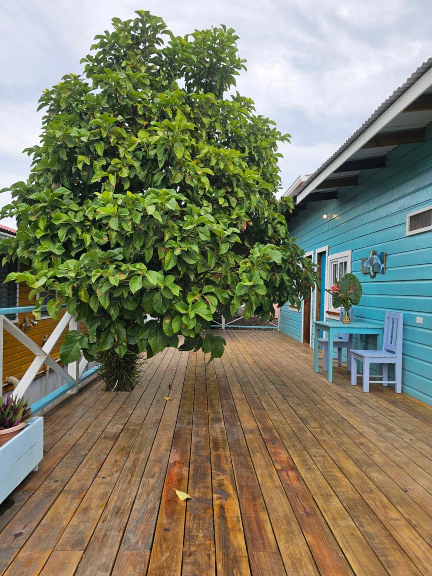 Casa Pelicano Bocas del Toro Zewnętrze zdjęcie