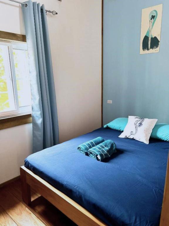 Casa Pelicano Bocas del Toro Zewnętrze zdjęcie